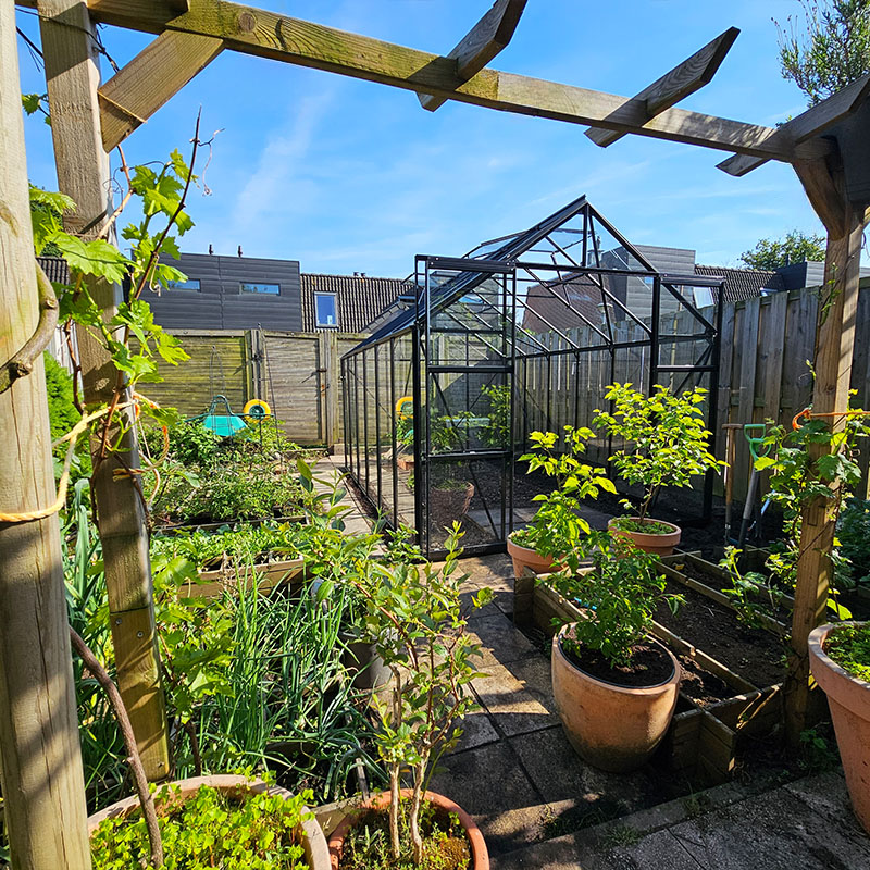 biologische moestuin in een kweekkas