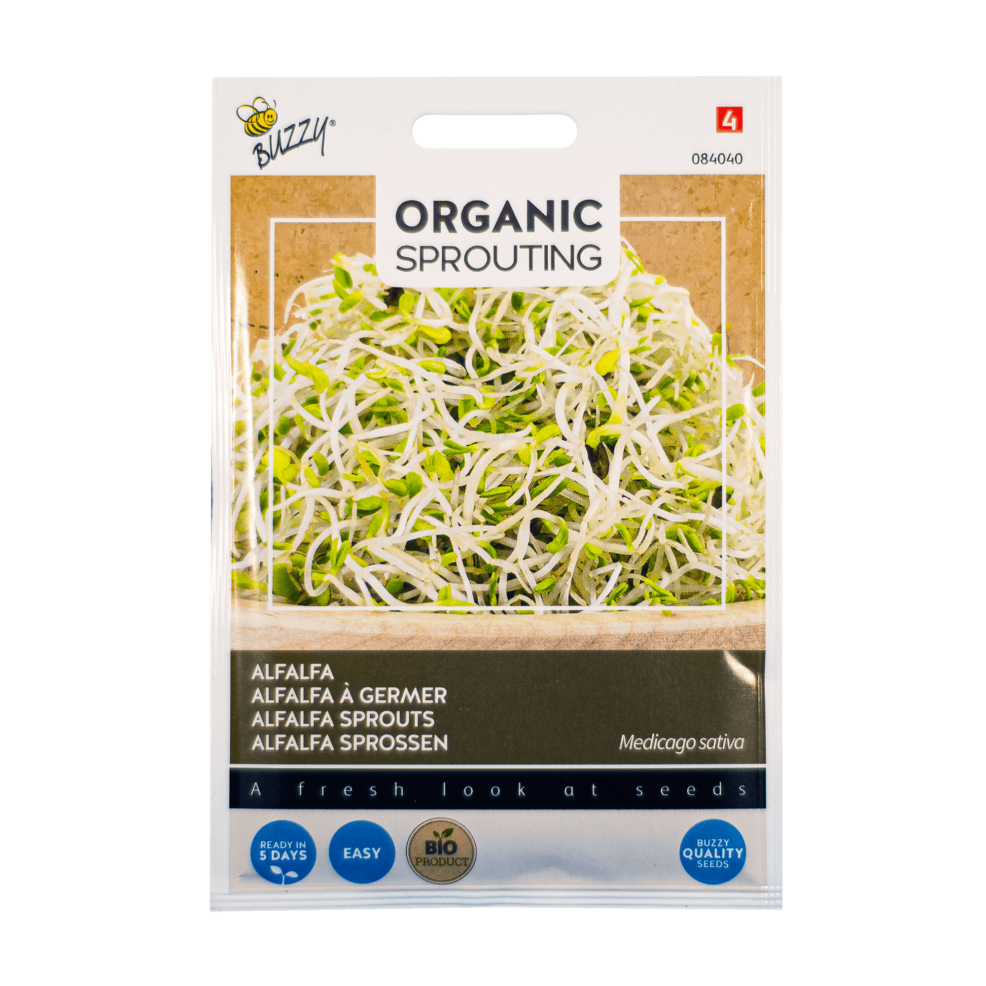 alfalfa Alfalfa Medicago sativa moestuin zaden kopen